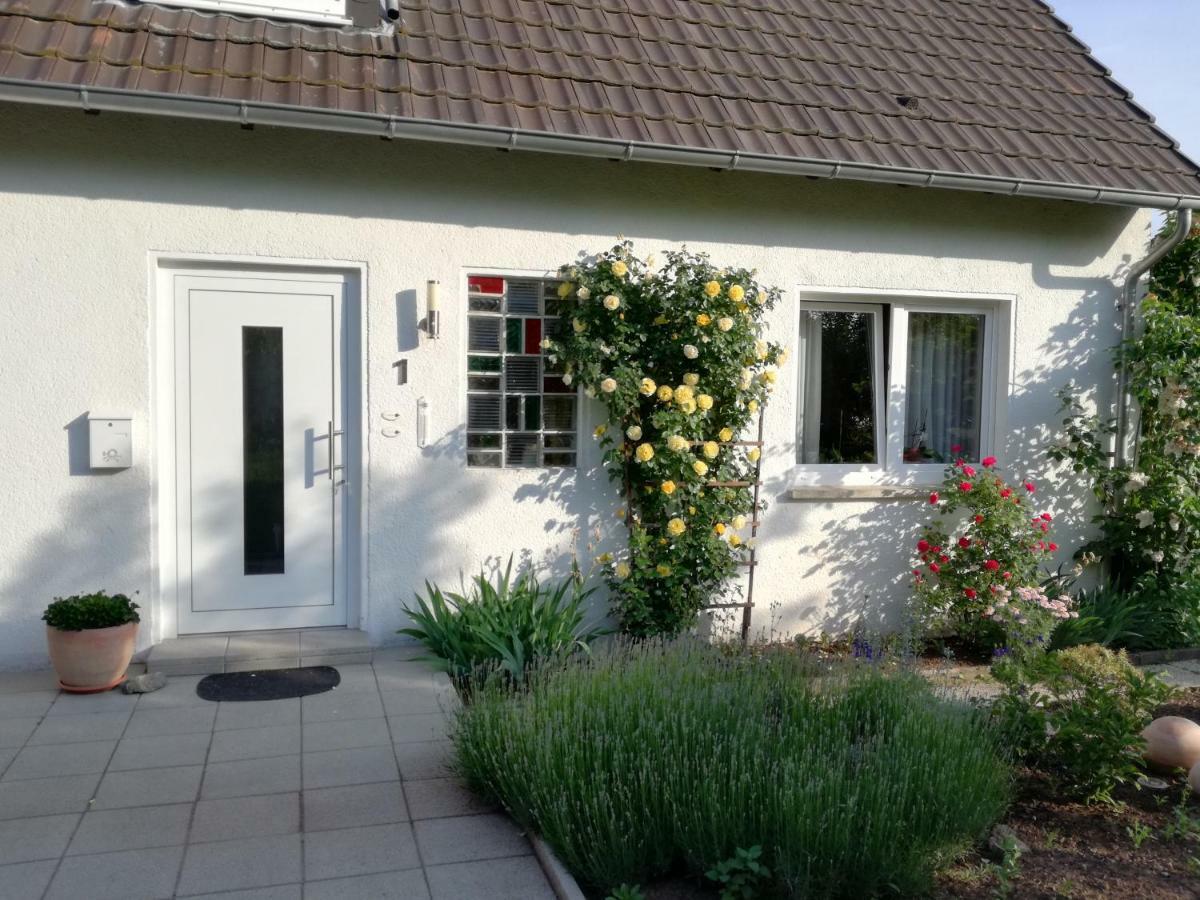 Ferien-Appartement Goldhausen Exterior foto